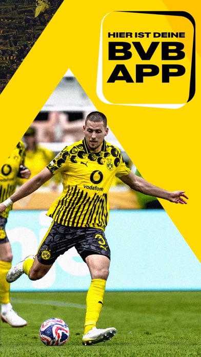Screenshot #2 pour BVB