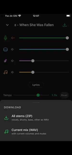 Split It Music screenshot 3