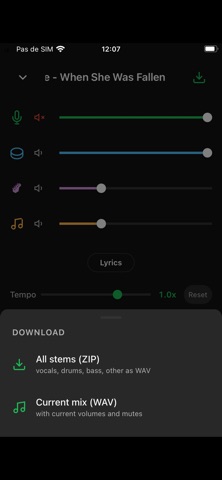Split It Music Screenshot 3 of 4
