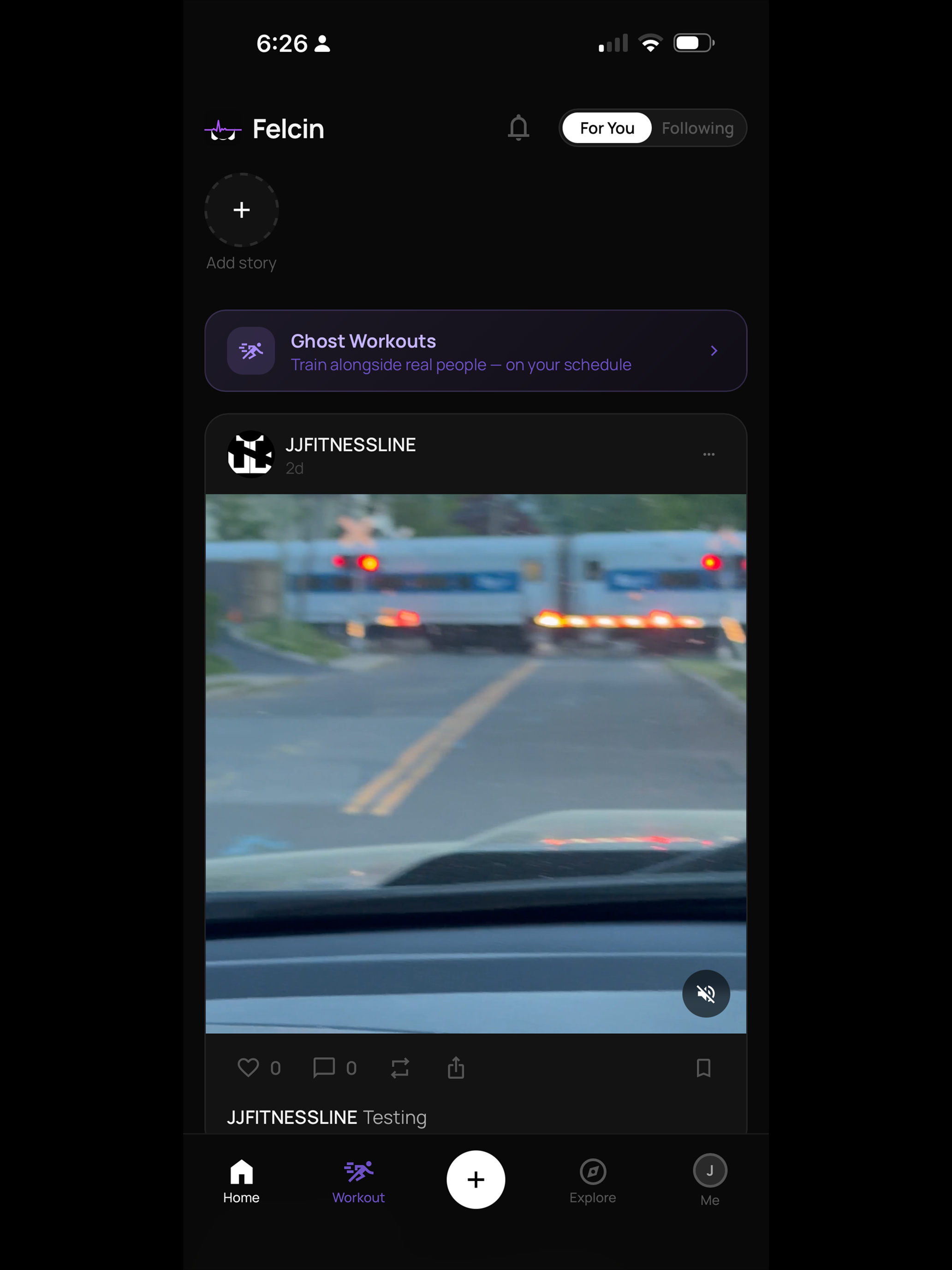 Felcin screenshot 12