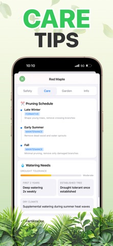 Tree Identifier - Wood & Leaf screenshot