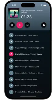 breeze amp (mp3 player) iphone screenshot 1