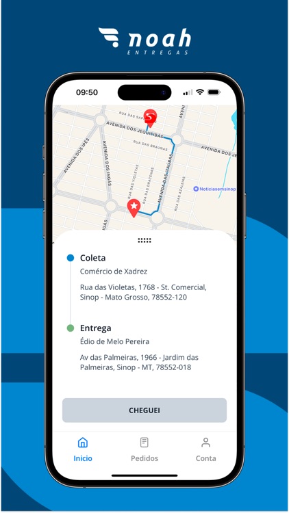 Noah Entregador screenshot-5