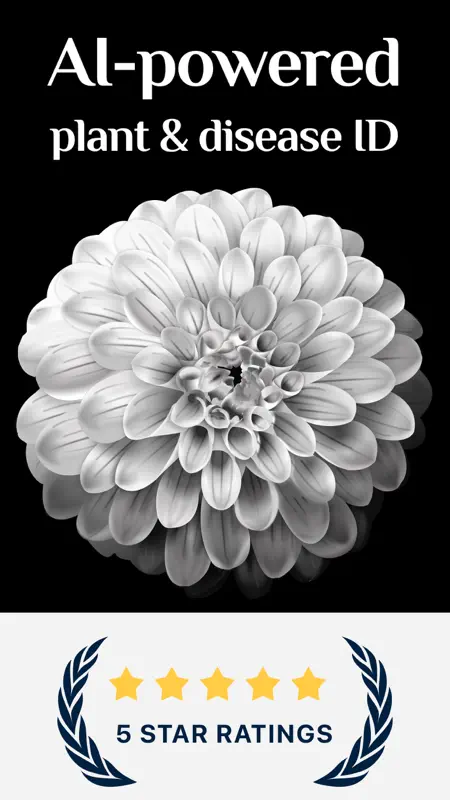 Free Plant Identifier screenshot 1 of 3