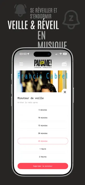 PANAME Chanson Française Paris screenshot 3