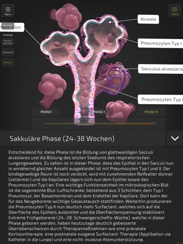Insight NeoLung iPad screenshot