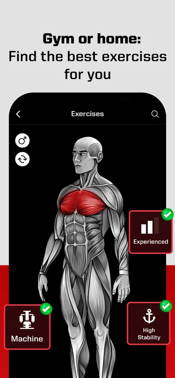 Screenshot #1 pour Fitness Exercises: Lightweight