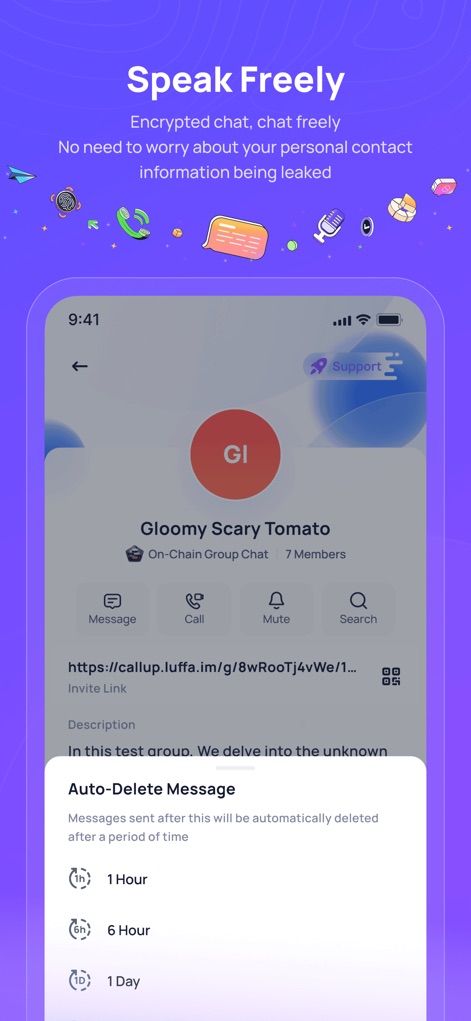 Luffa:Secure Encrypted Chat - This view demonstrates enhanced privacy features, showcasing "Auto-Delete Message" options and specific "timeframes" like 1 hour for transient communication.