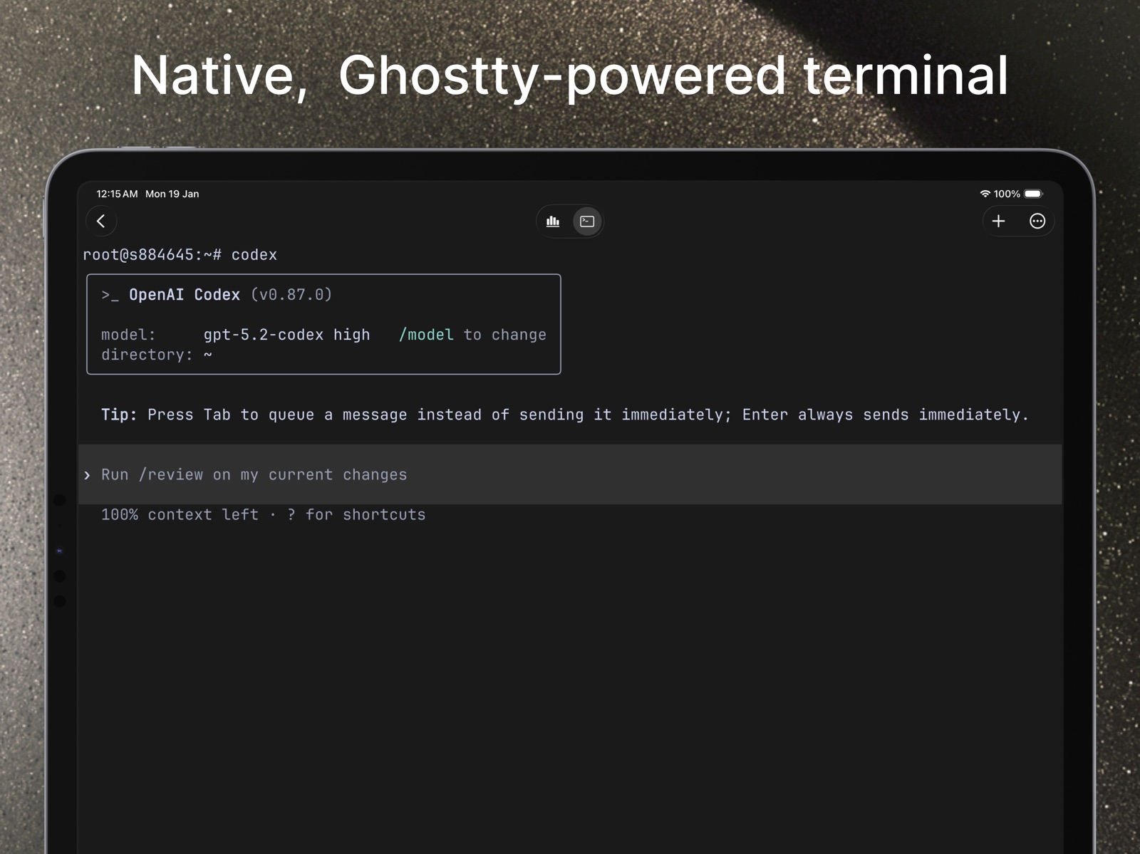 VVTerm: Native SSH Client ipad screenshot 3