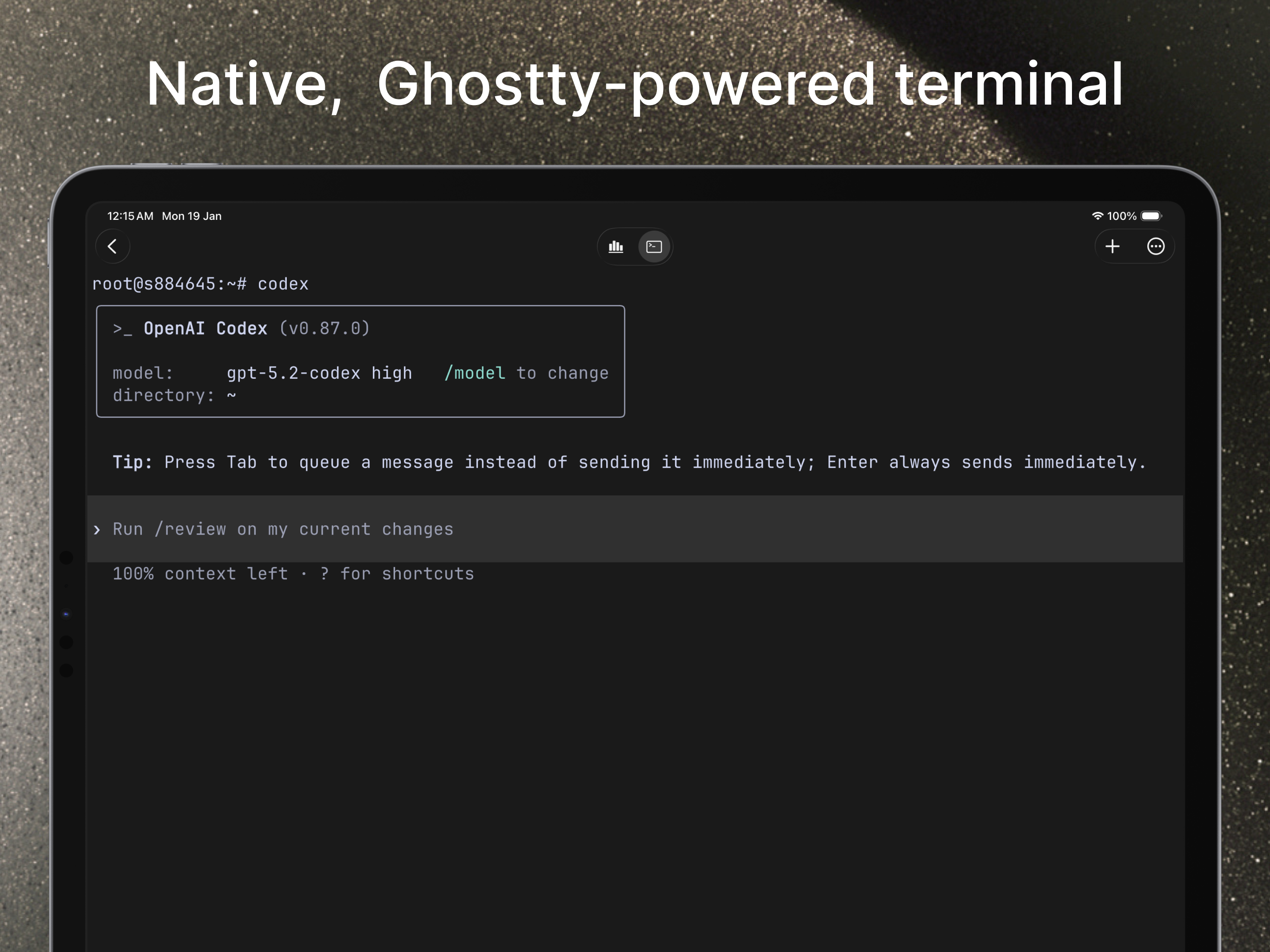 VVTerm: Native SSH Client screenshot 10