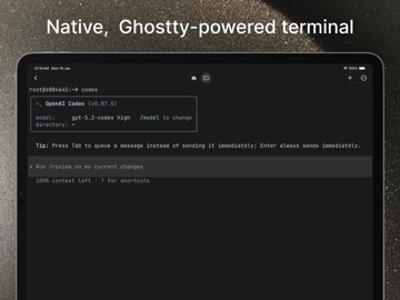 VVTerm: Native SSH Client iPad screenshot
