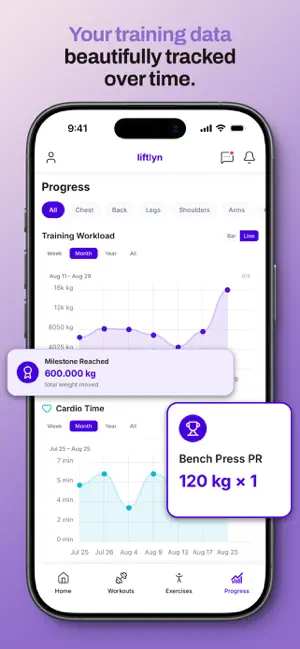 LiftLyn screenshot 2