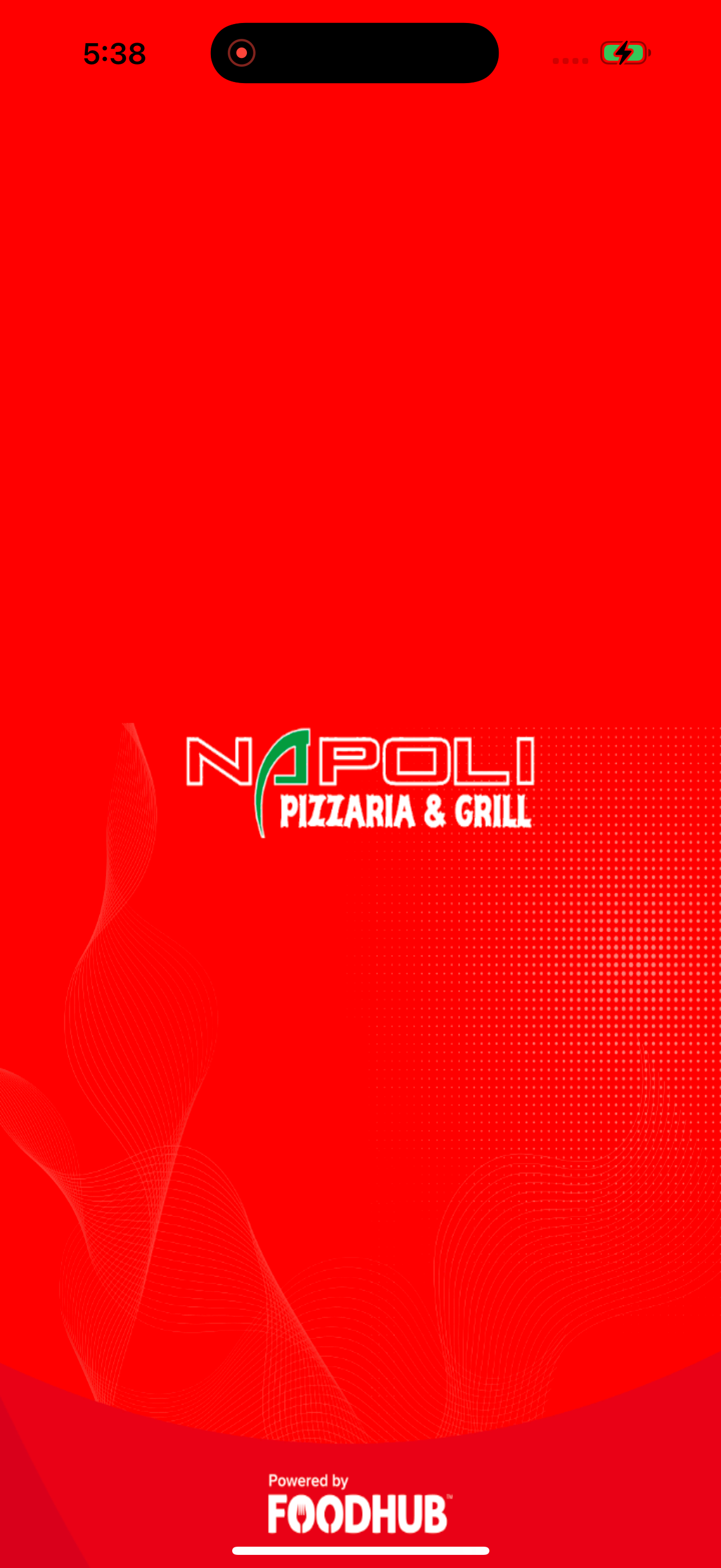 Napoli Pizza Grill