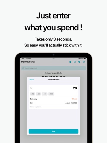 Roughly: Simple Budget&Expense iPad screenshot