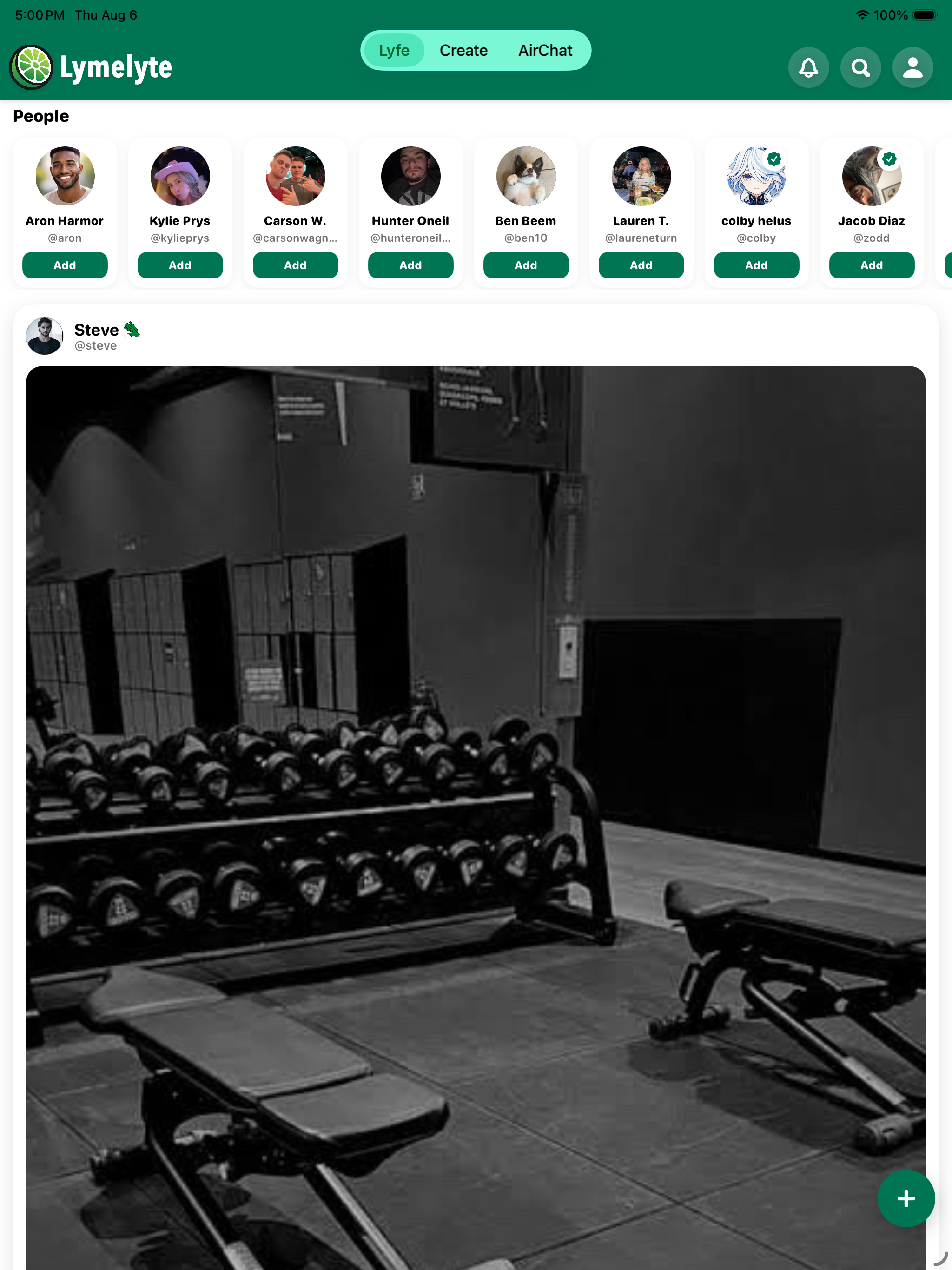 Lymelyte screenshot 5