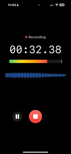 Omni Recorder screenshot 1