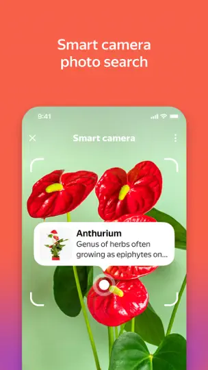 Yandex With Alice AI iPhone Screenshot 2