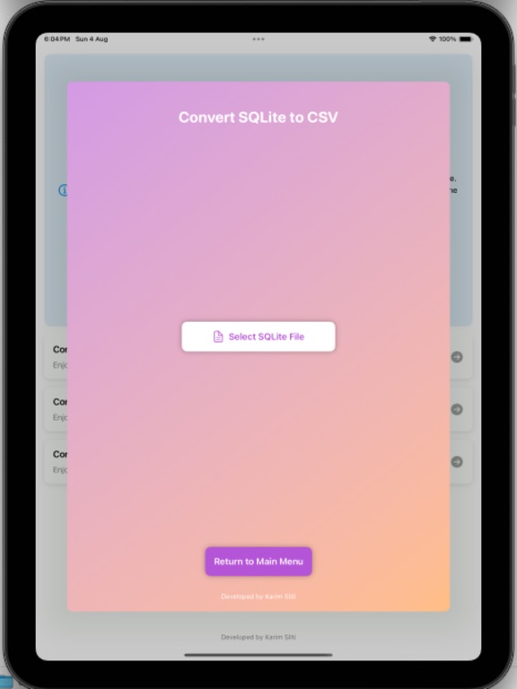 Screenshot #4 pour Secure XLSX 2 SQLite Converter