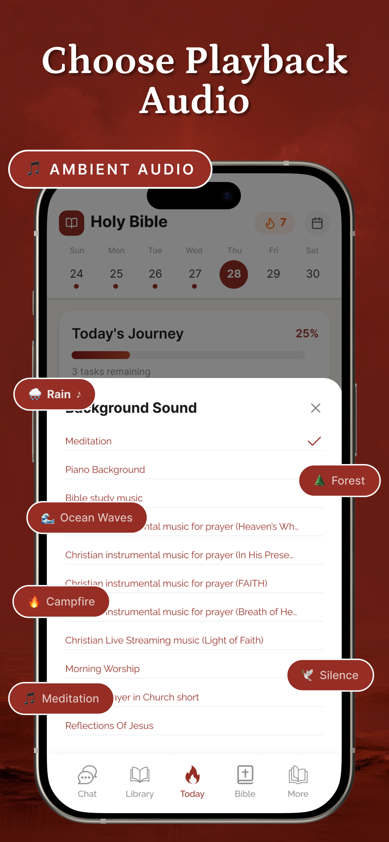 Bible Widget: Daily Verse screenshot 6
