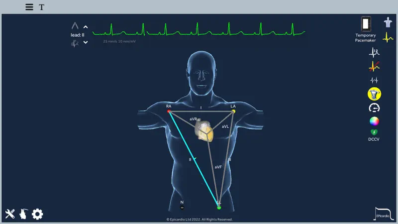 Heart Simulator screenshot 7 of 9