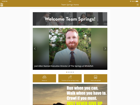 Screenshot #4 pour Team Springs
