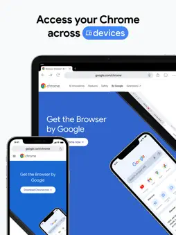 Google Chrome screenshot 16