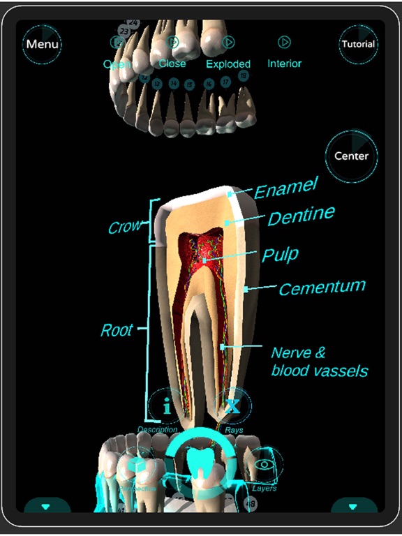 Screenshot #4 pour Dental Professional