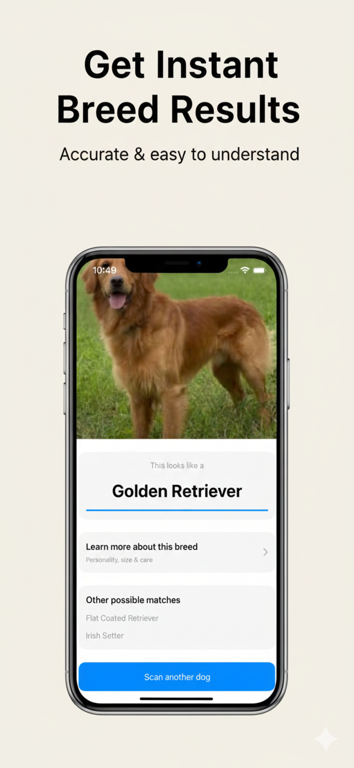 DogScan – Dog Breed Identifier