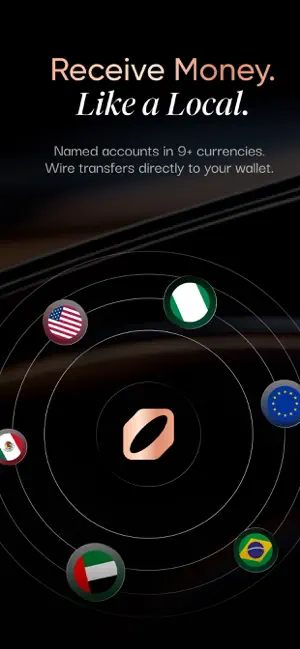 OrbitXPay screenshot 4