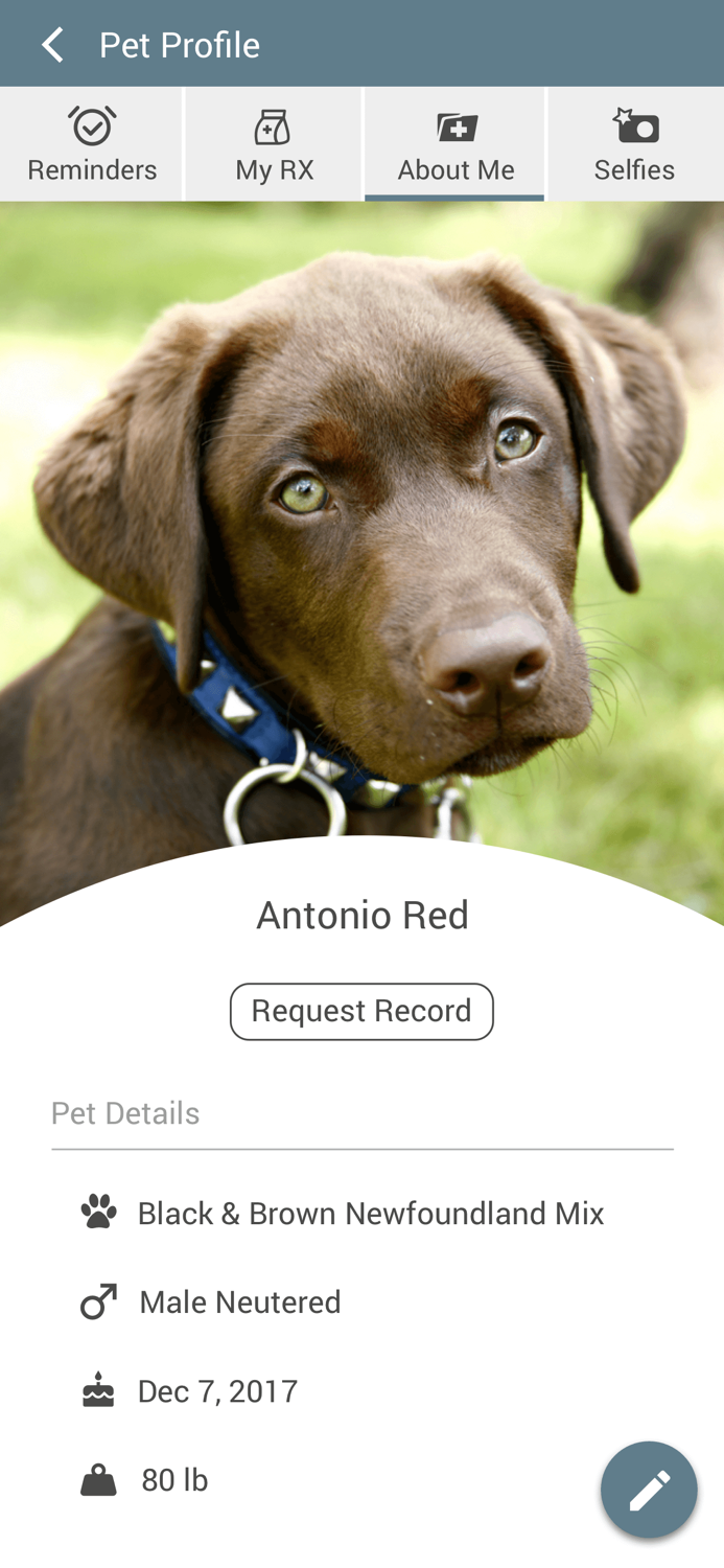 Cornelius Pet Hospital