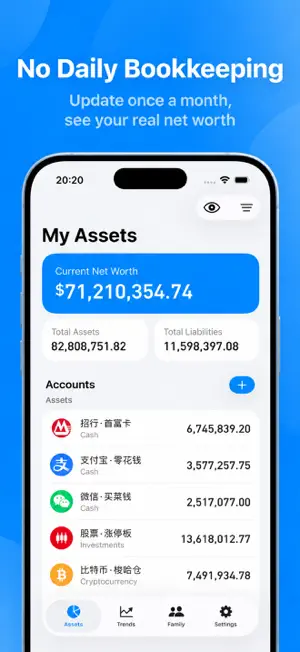 Monthly Assets: Net Worth screenshot 1