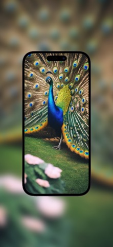 Peacock Wallpapers Screenshot 1 of 5