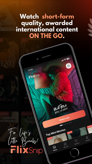 FlixSnip - Movies & Culture Screenshot