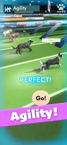 Pocket Paws: Dog Champions screenshot #5 for iPhone