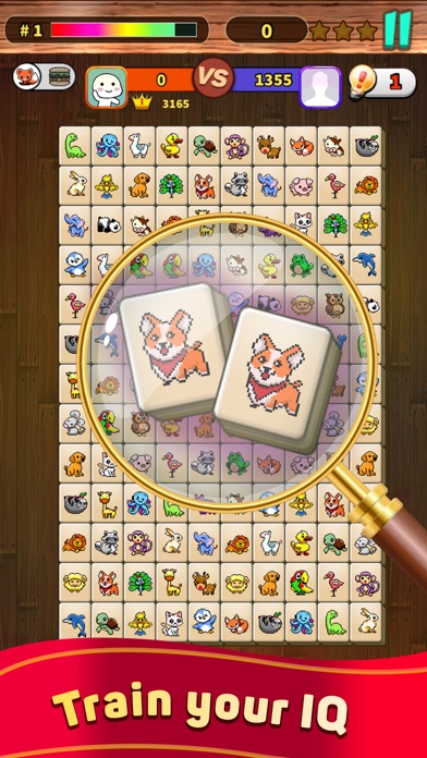 Onet X Connect Matched Animal Screenshot