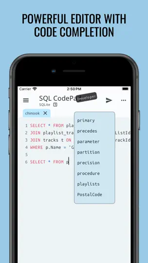 Capture d'écran de SQL Database Manager DB Client sur iPhone 4