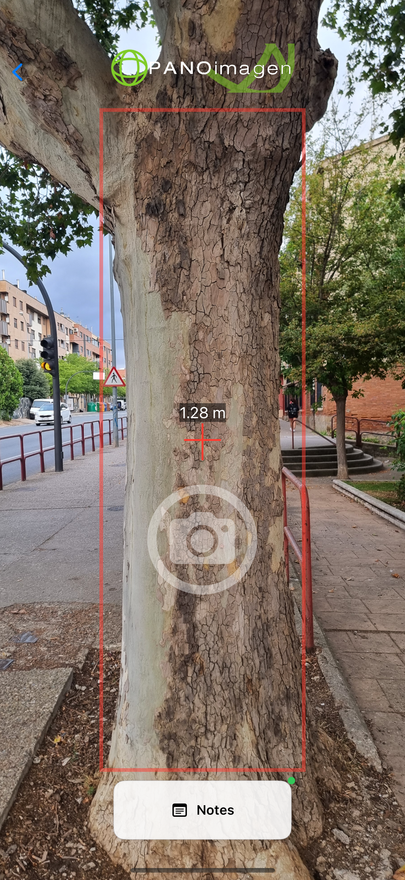 Diametree screenshot 6