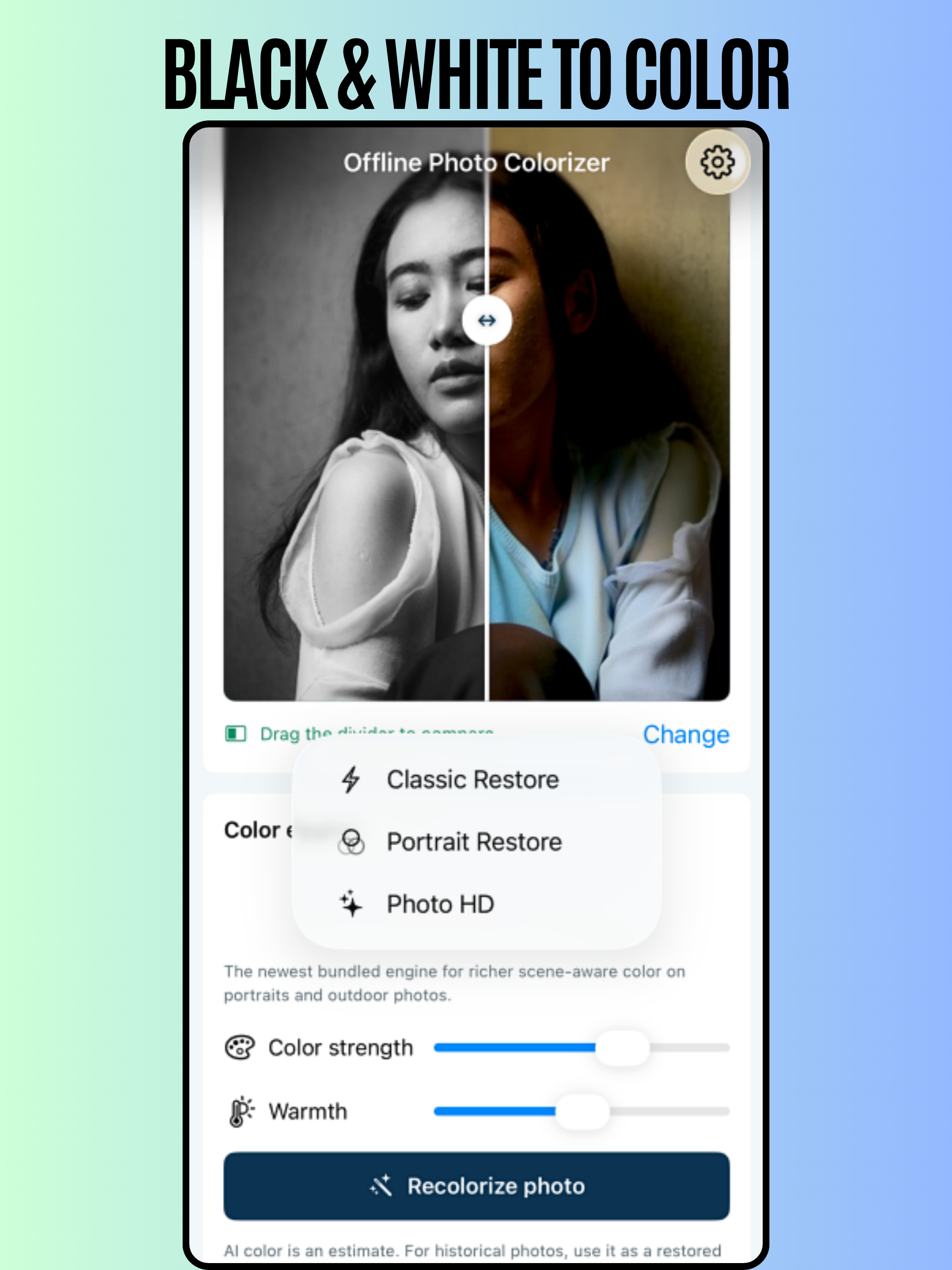 Offline Photo Colorizer screenshot 11