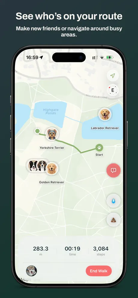 Paws Near Me - Your Park, Live 宠伴公园实时通应用截图