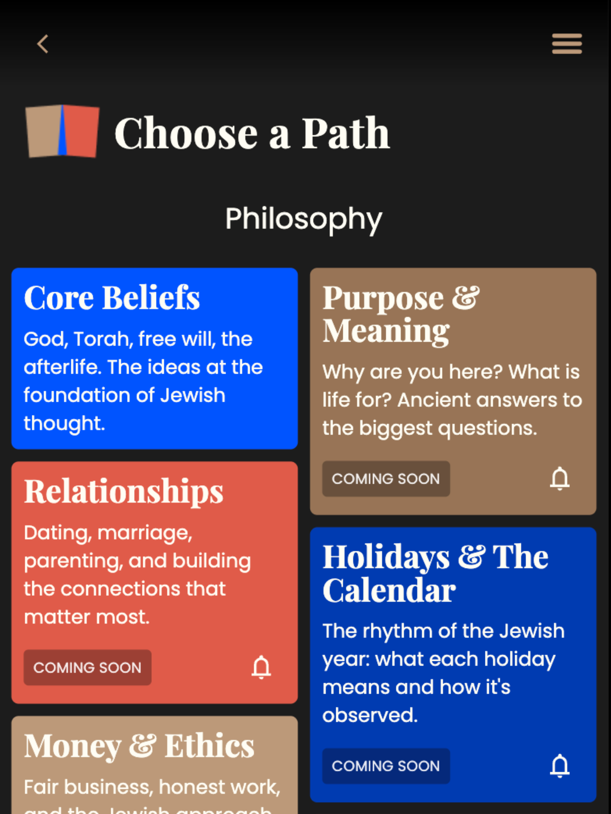 Aish University screenshot 8