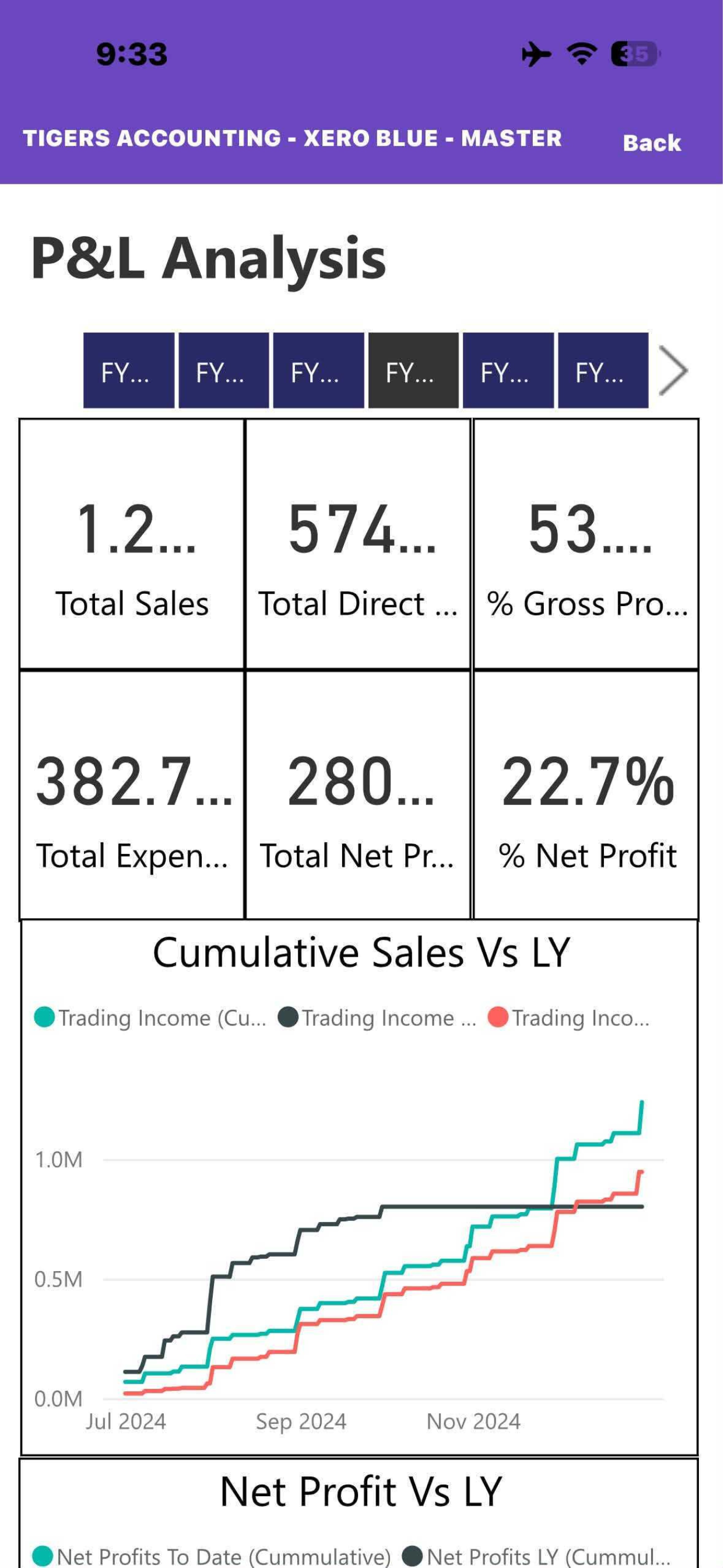Vibe CFO screenshot 10