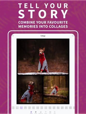 Photo Grid & Collage Maker iPad screenshot