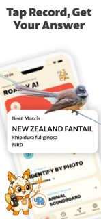 Animal Sound Identifier Roarly screenshot 2