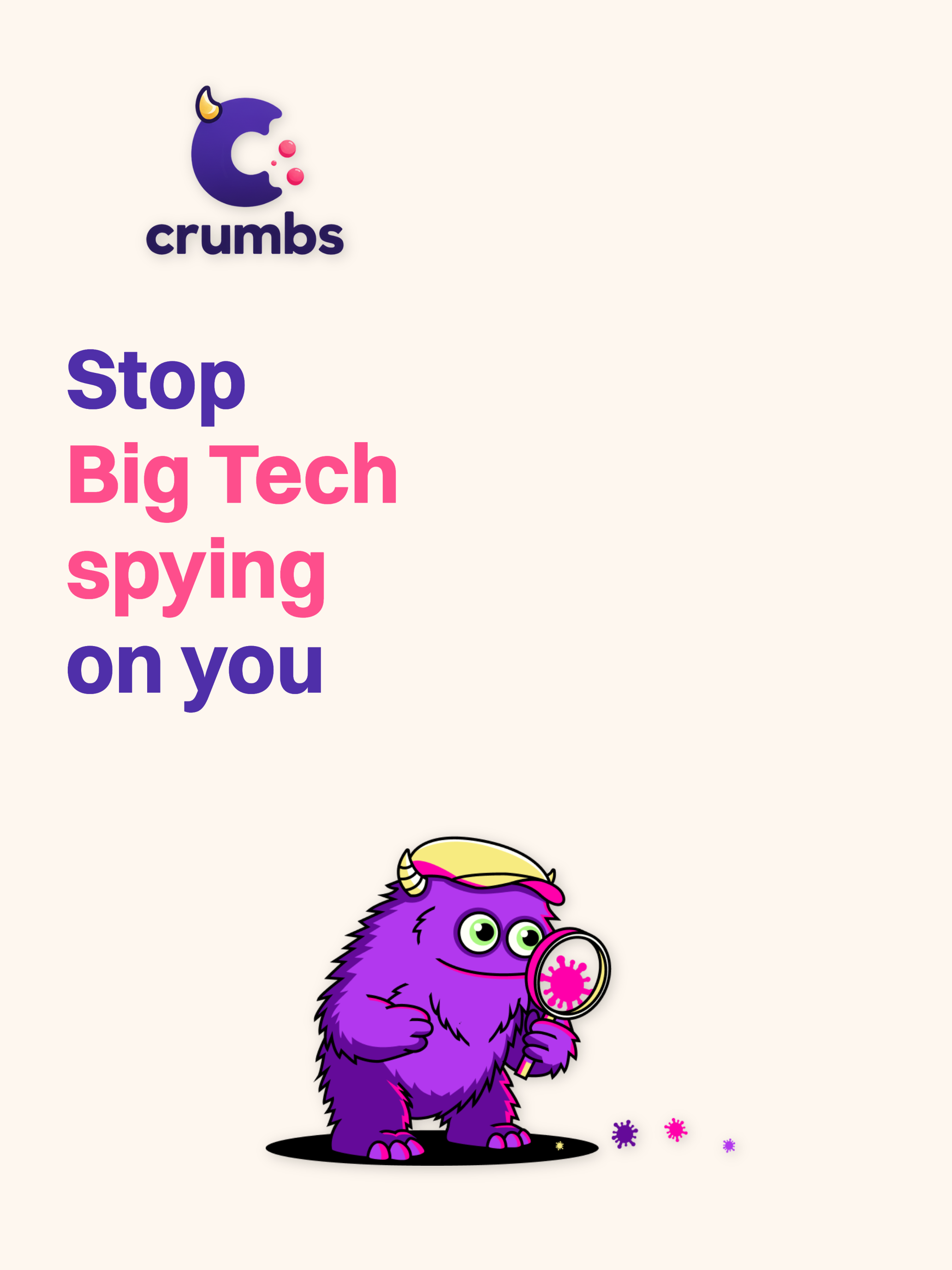 Crumbs: DNS Privacy screenshot 7