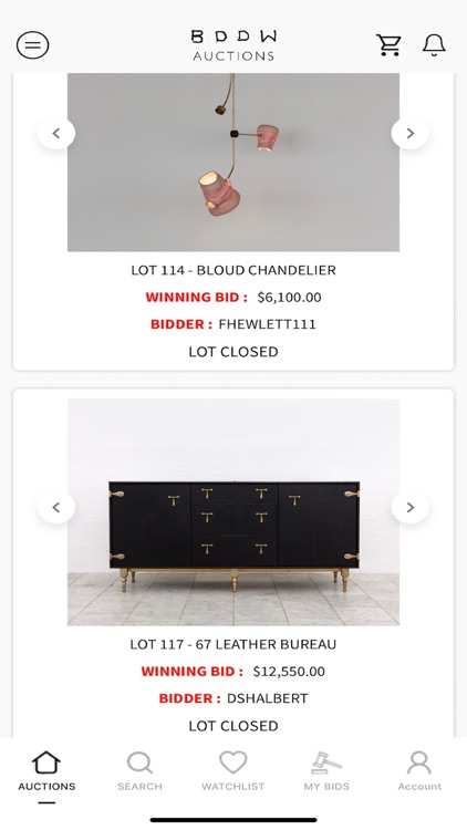 BDDW Auctions screenshot-4