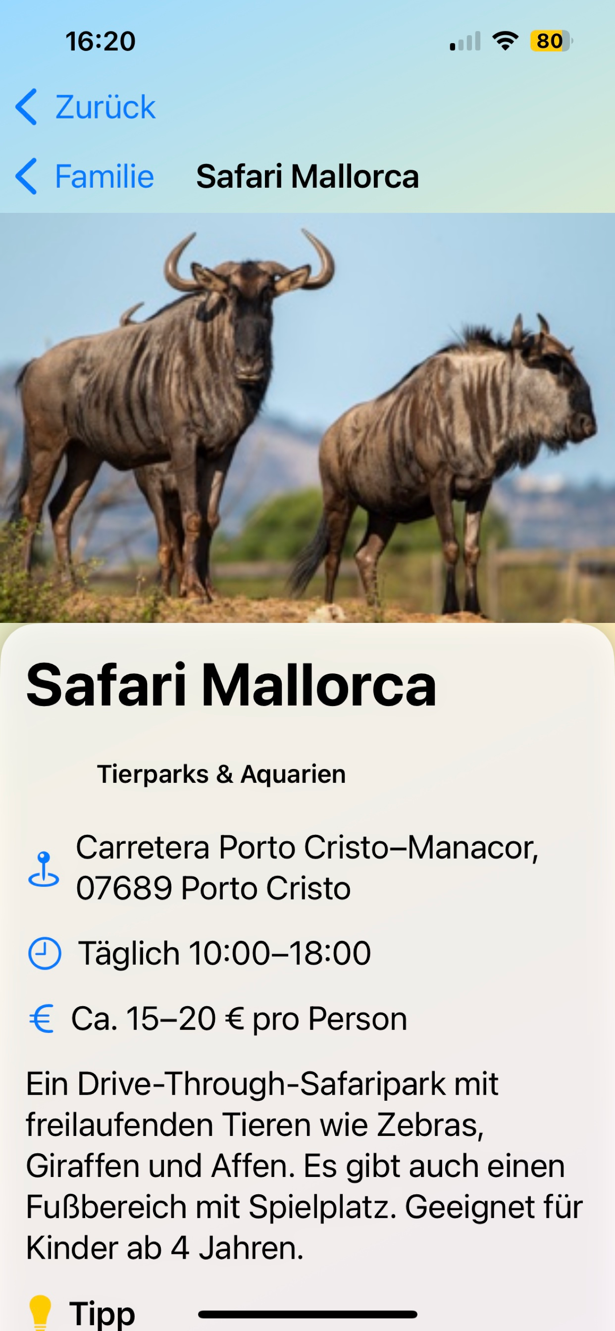 Mallorca Moments