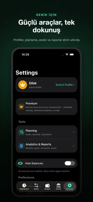 Parametre: Budget, Gold, Debt screenshot 4