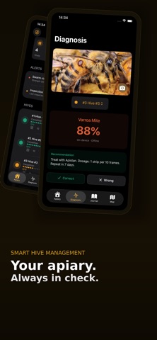 BeeKeeper: Hive Manager Screenshot 1 of 4