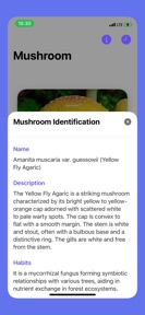 Picture Mushroom - Identifier screenshot