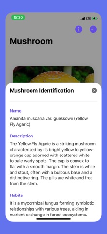 Picture Mushroom - Identifier Screenshot 3 of 4